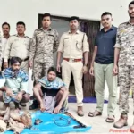 रायगढ़ में वन विभाग की बड़ी कार्रवाई: जंगली सुअर के शिकार के दो मामलों में 3 आरोपी गिरफ्तार