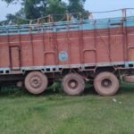 14 चक्का ट्रक में ठूंस-ठूंसकर ले जा रहे थे 46 गौवंश, धरमजयगढ़ पुलिस की कार्रवाई में 39 का रेस्क्यू