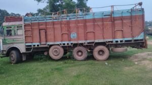 14 चक्का ट्रक में ठूंस-ठूंसकर ले जा रहे थे 46 गौवंश, धरमजयगढ़ पुलिस की कार्रवाई में 39 का रेस्क्यू